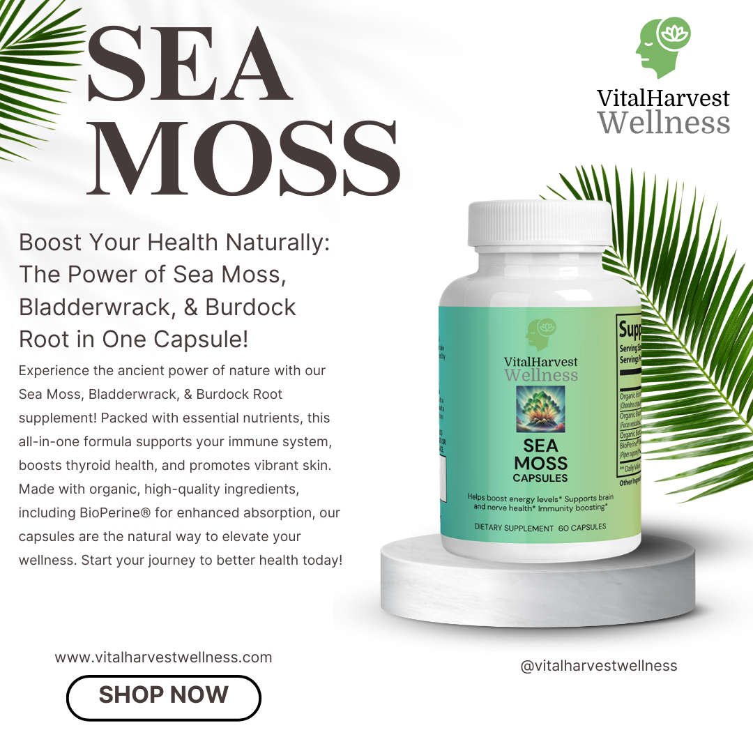 Sea Moss, Bladderwrack & Burdock Root: Ancient Secrets for Immunity & Wellness